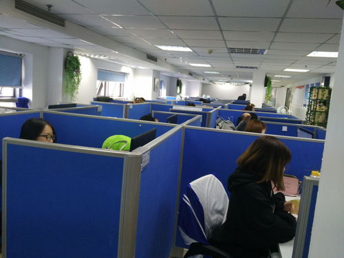 上海回聲網絡科技 專業網絡技術服務領航者