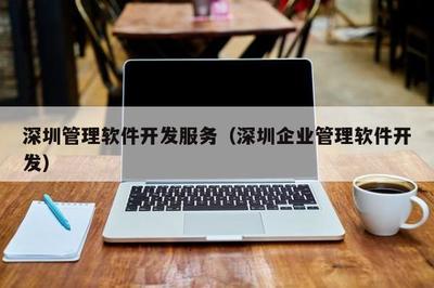 深圳管理軟件開發(fā)服務(wù) 滿足現(xiàn)代企業(yè)需求的全面解決方案